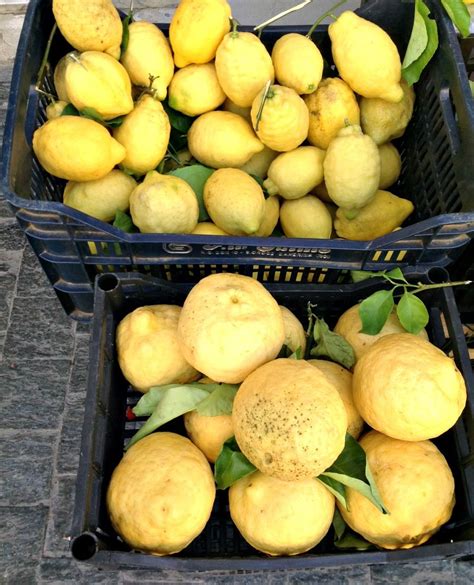 lemoncam italy|Lemons and Limoncello from Italy’s Amalfi Coast .